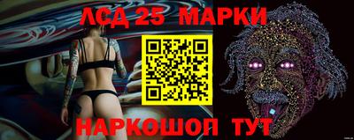 мяу мяу мука Кандалакша
