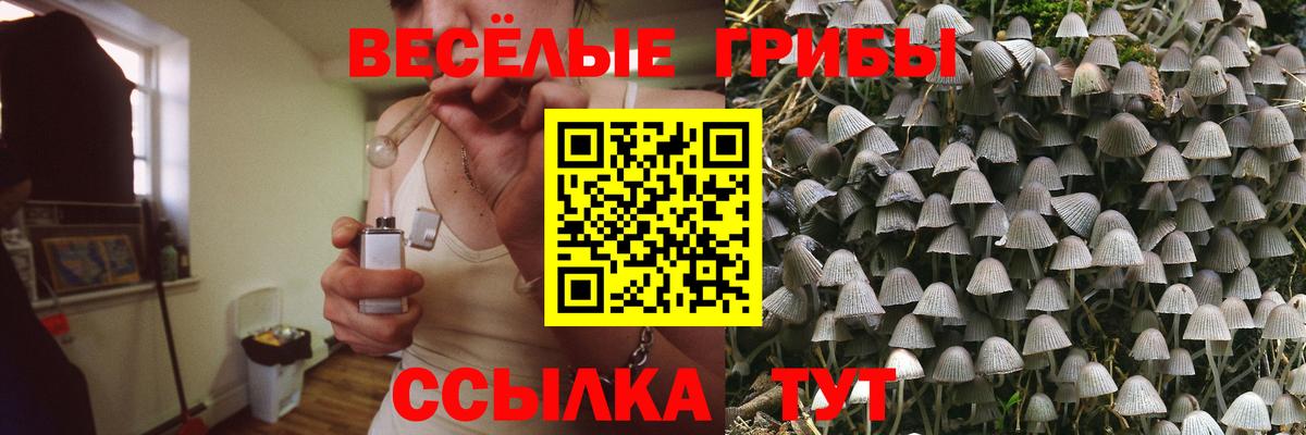Псилоцибиновые грибы мухоморы Кохма