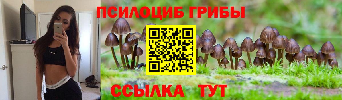 Галлюциногенные грибы GOLDEN TEACHER  Вход с VPN  как найти закладки  Кохма  Галлюциногенные грибы Psilocybe 